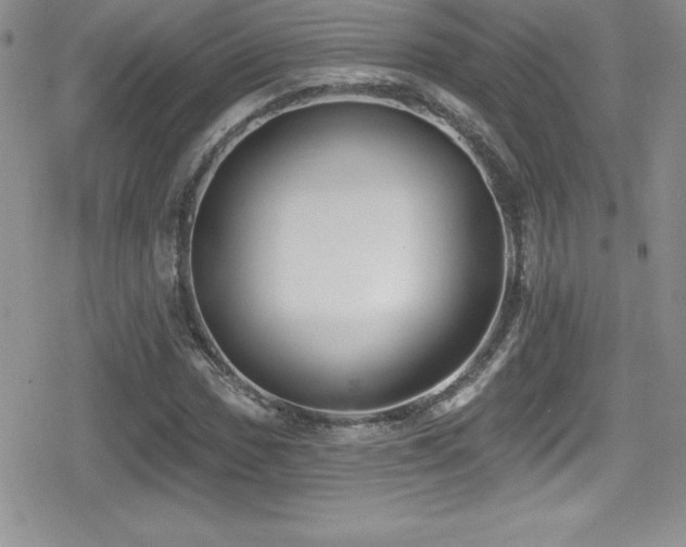 X0000080771017200612151429