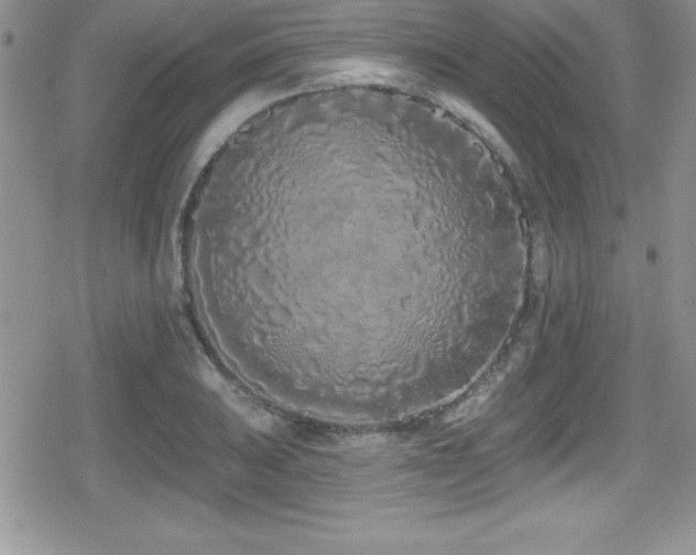 X0000080771031200612151429