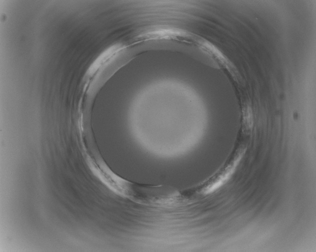 X0000080771034200612151429