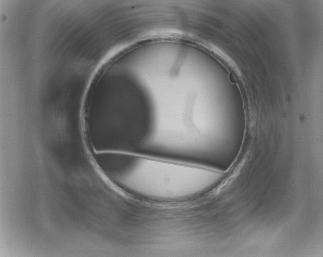 X0000080771037200612151429