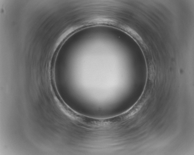 X0000080771039200612151429
