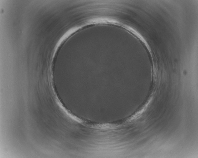 X0000080771045200612151429