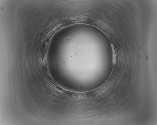 X0000080771058200612151429