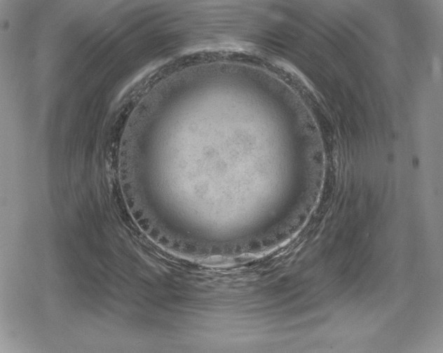 X0000080771064200612151429