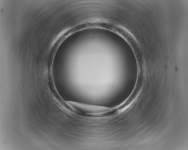 X0000080771065200612151429