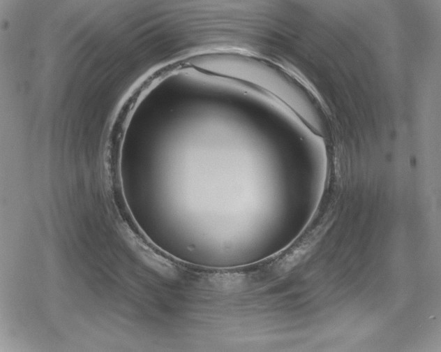 X0000080771068200612151429