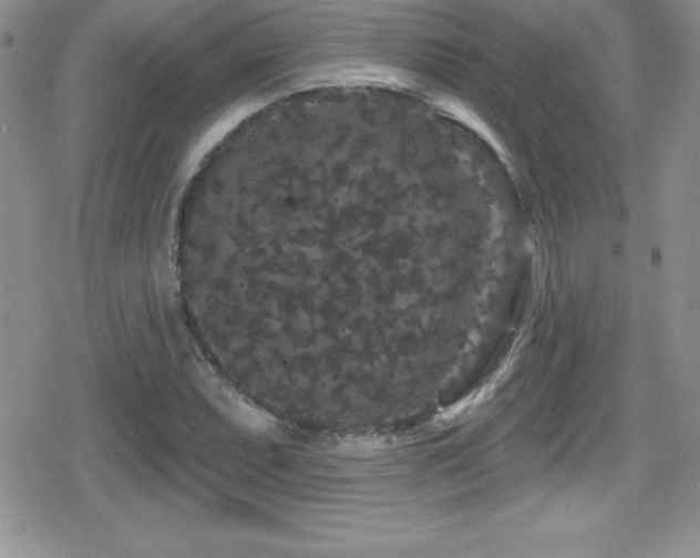 X0000080771071200612151429