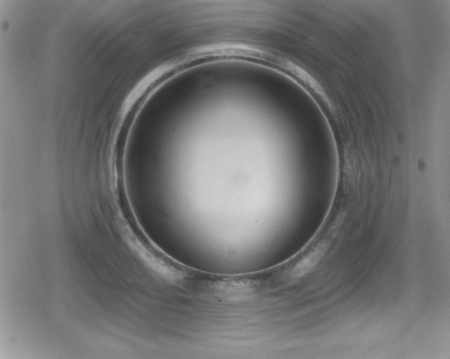 X0000080771082200612151428
