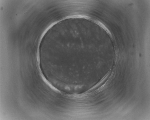 X0000080771084200612151428
