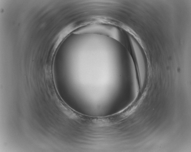 X0000080771089200612151428