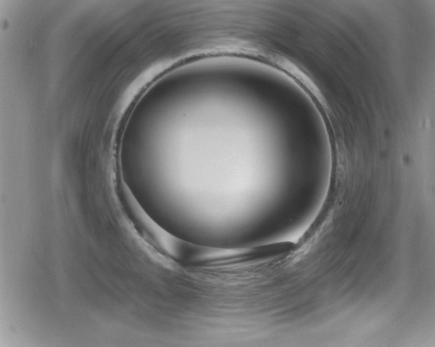 X0000080771093200612151428