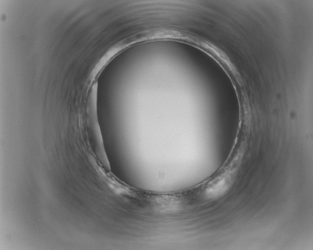 X0000080771097200612151428