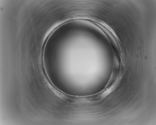 X0000080771101200612151428