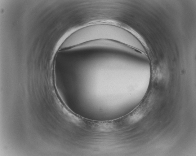 X0000080771102200612151428