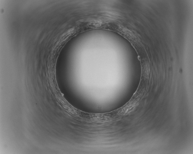 X0000080771105200612151427