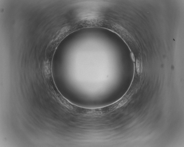 X0000080771107200612151427