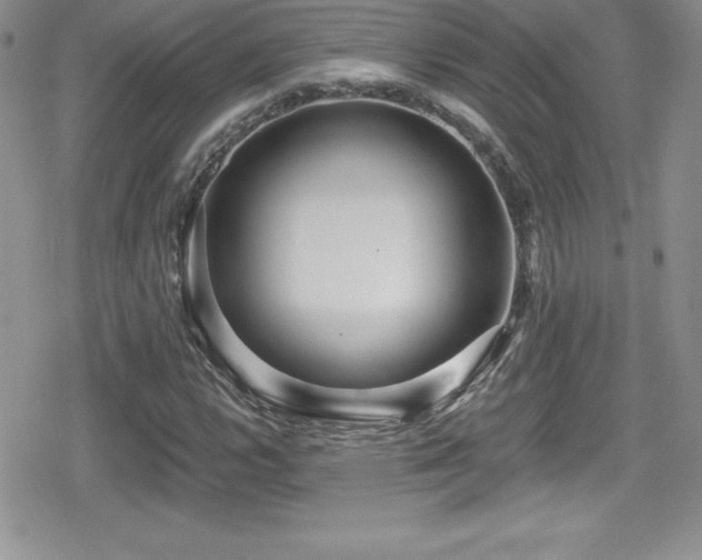 X0000080771112200612151427