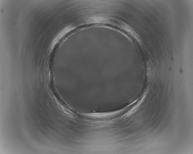 X0000080771117200612151428