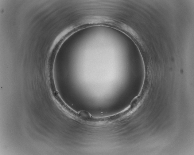 X0000080771122200612151428