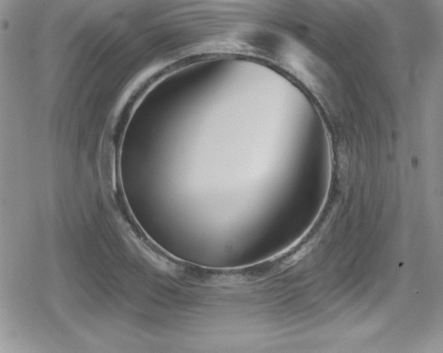 X0000080771123200612151428