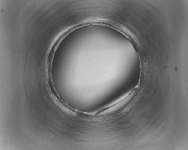 X0000080771124200612151428