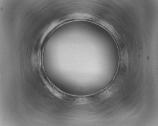 X0000080771128200612151428