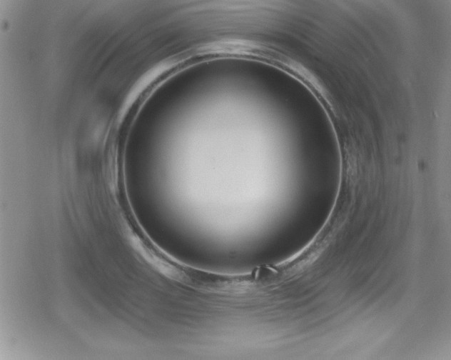 X0000080771131200612151428