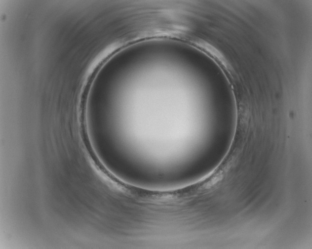 X0000080771135200612151428