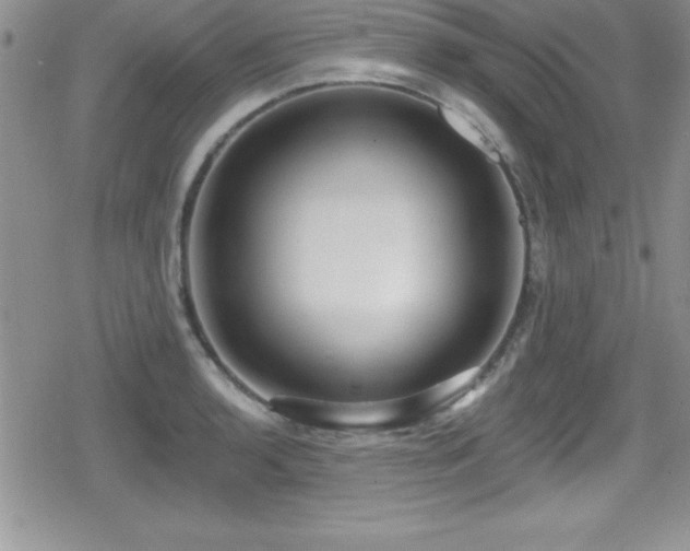 X0000080771136200612151428