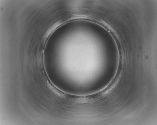 X0000080771137200612151428