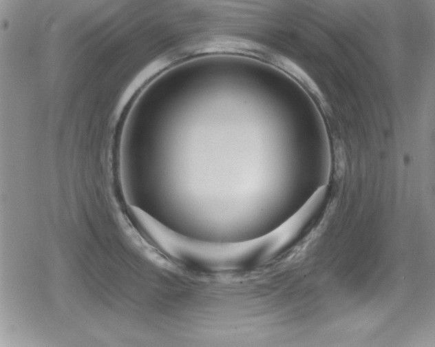 X0000080771138200612151428