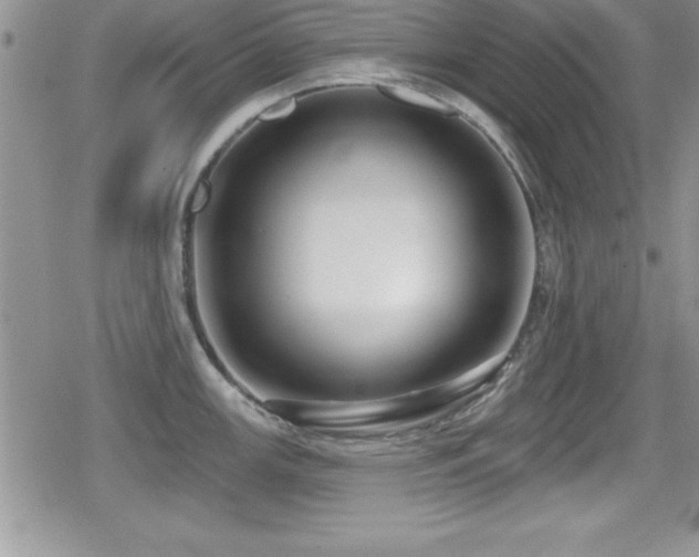 X0000080771147200612151428