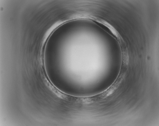 X0000080771148200612151428