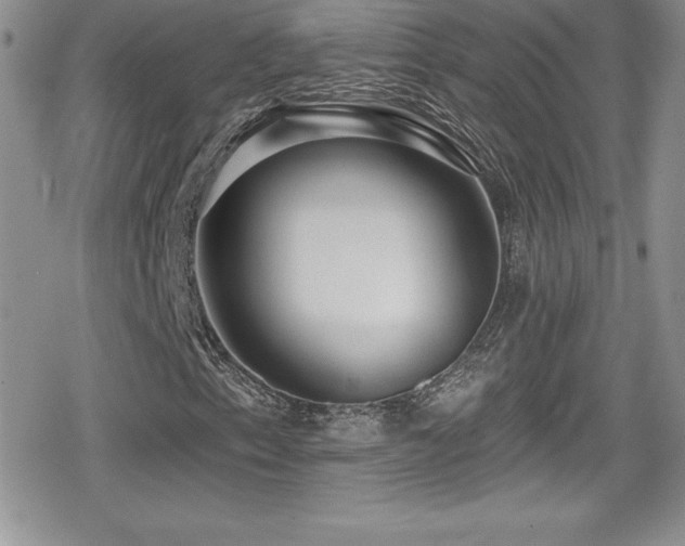 X0000080771153200612151427