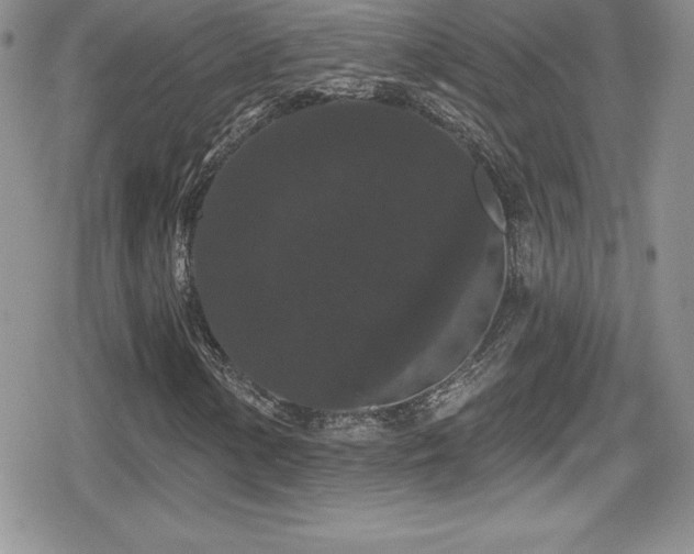 X0000080771154200612151427
