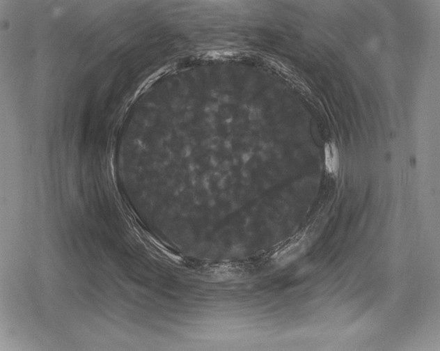 X0000080771155200612151427