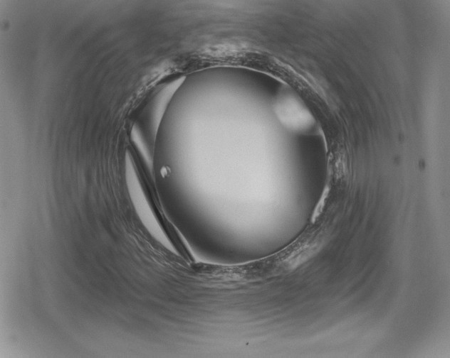 X0000080771156200612151427