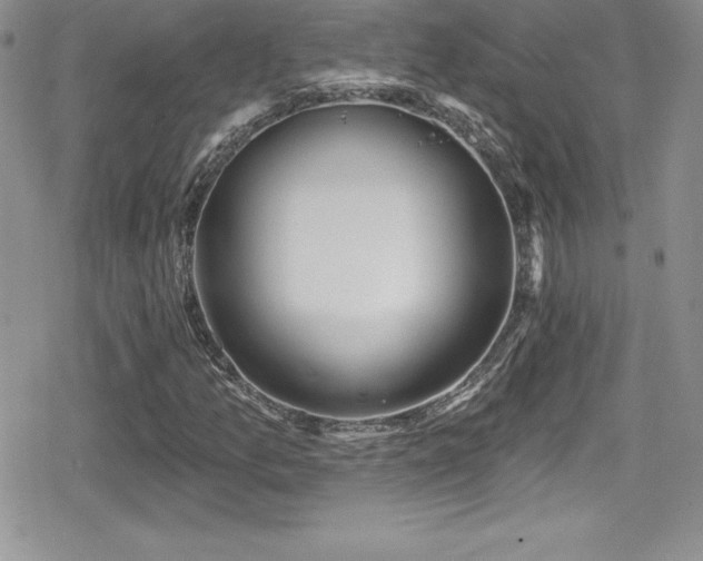 X0000080771157200612151427