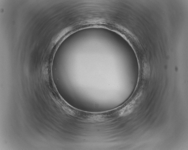 X0000080771162200612151427