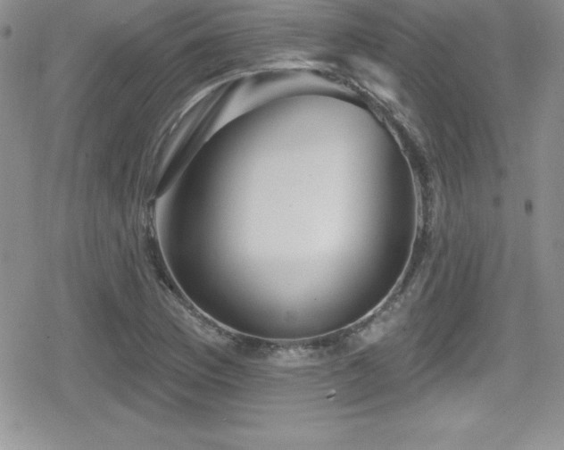 X0000080771169200612151427