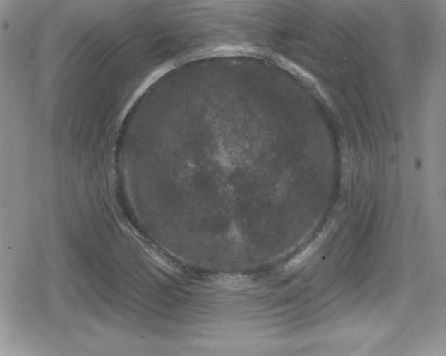 X0000080771170200612151427