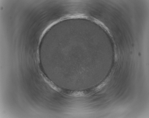 X0000080771174200612151427