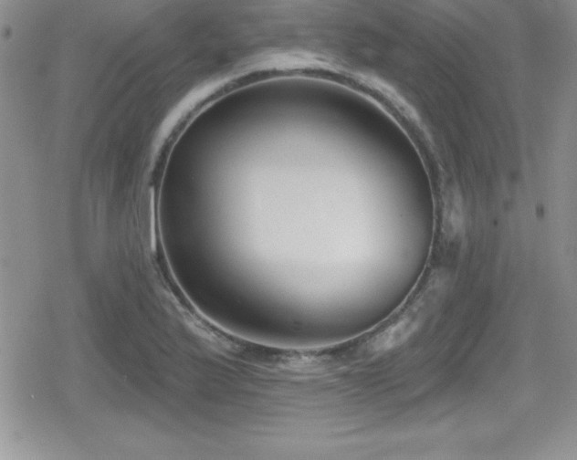 X0000080771175200612151427