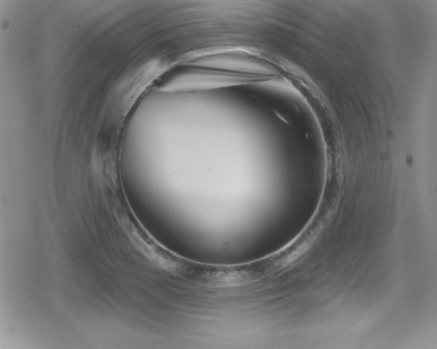X0000080771177200612151427