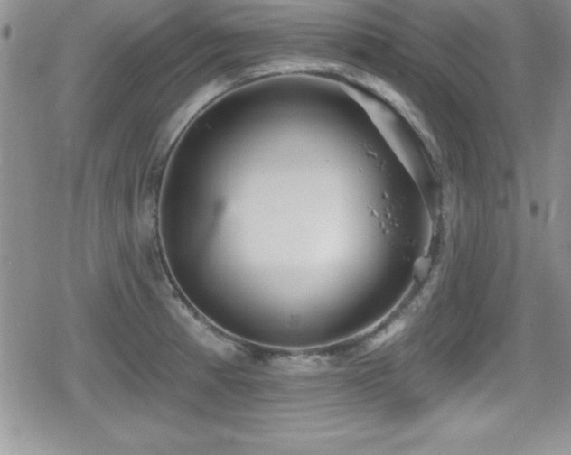 X0000080771185200612151427
