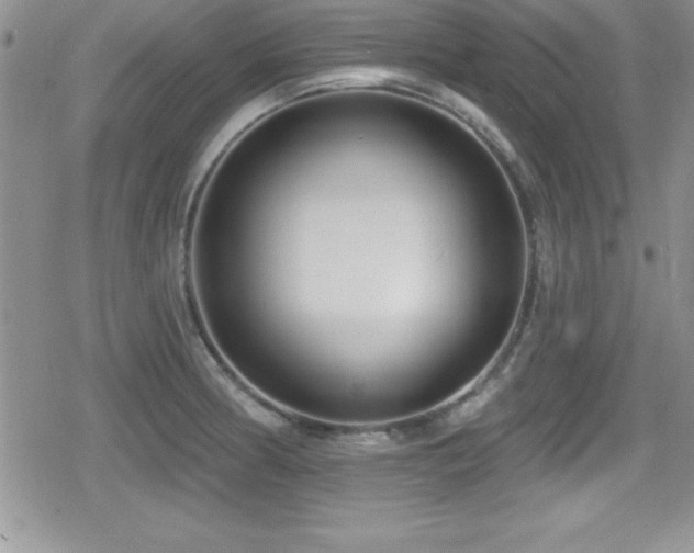 X0000080771186200612151427