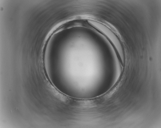 X0000080771192200612151427