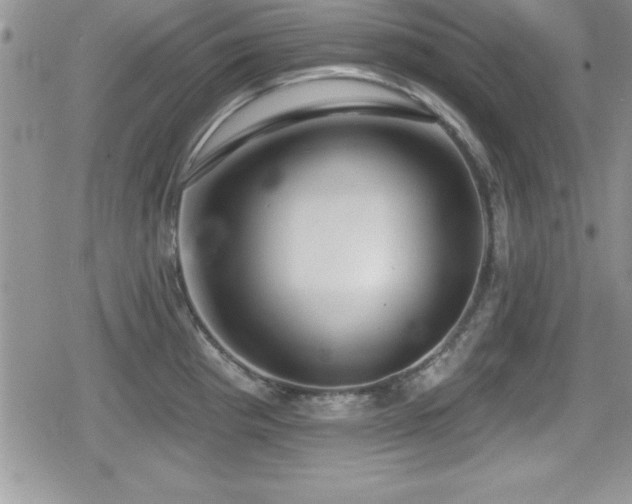 X0000080771193200612151427