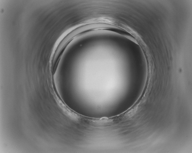 X0000080771200200612151427