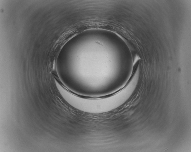 X0000080771202200612151426